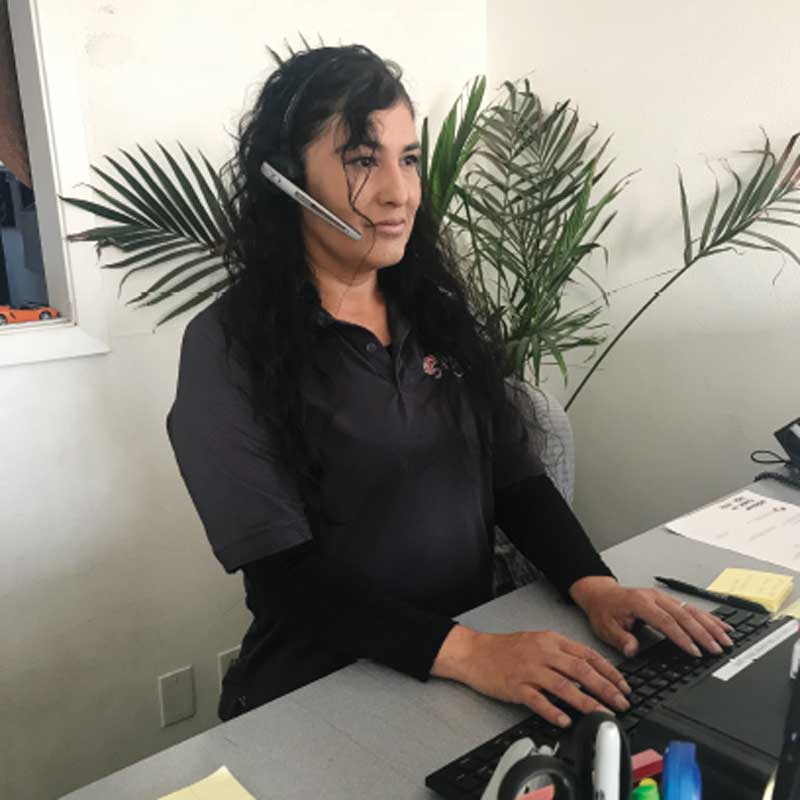 lady_working_at_desk