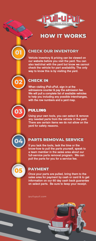 Infographic USA