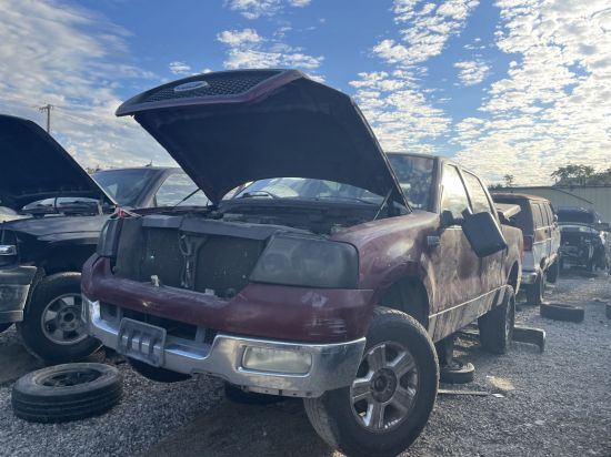 2004 FORD F-150