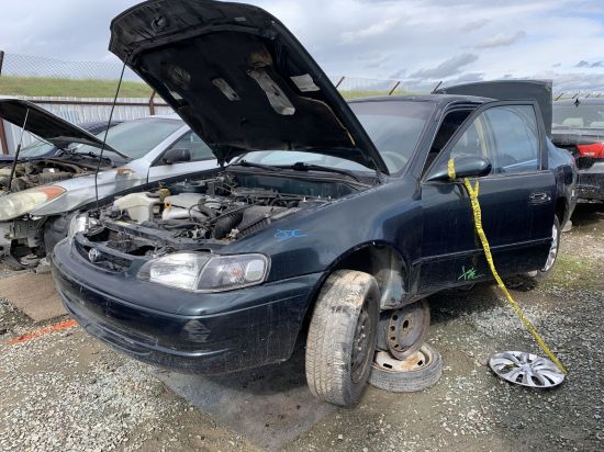 1999 TOYOTA COROLLA
