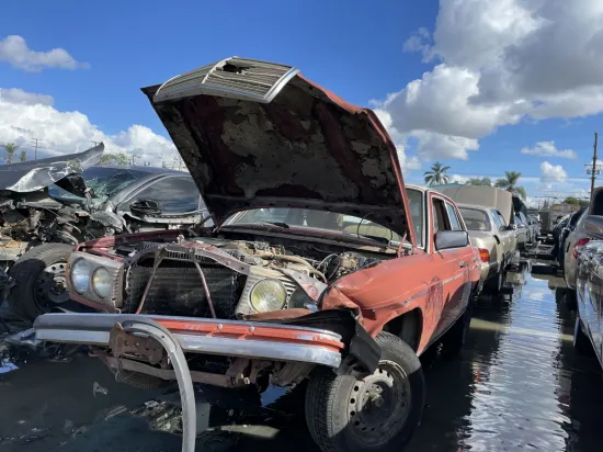 1981 MERCEDES-BENZ 300