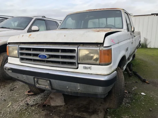 1989 FORD F-150