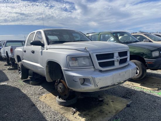 2011 DODGE DAKOTA