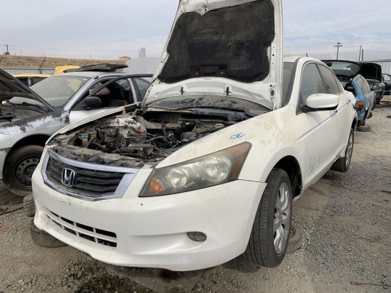 2010 HONDA ACCORD
