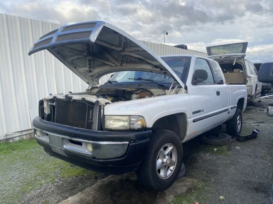 1999 DODGE RAM PICKUP