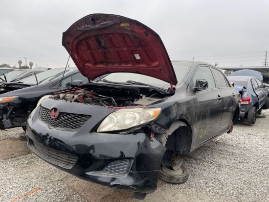 2010 TOYOTA COROLLA