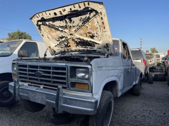 1981 FORD F-100
