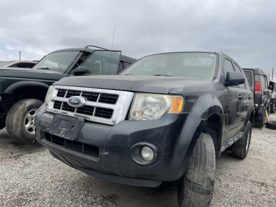 2008 FORD ESCAPE