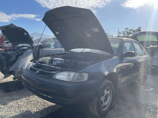 1999 TOYOTA COROLLA