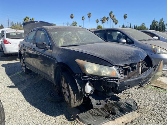 2010 HONDA ACCORD