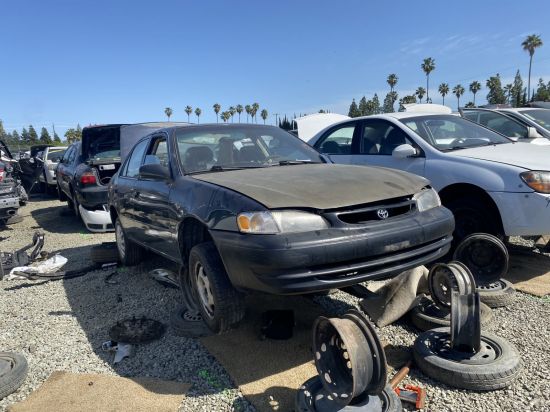 1999 TOYOTA COROLLA