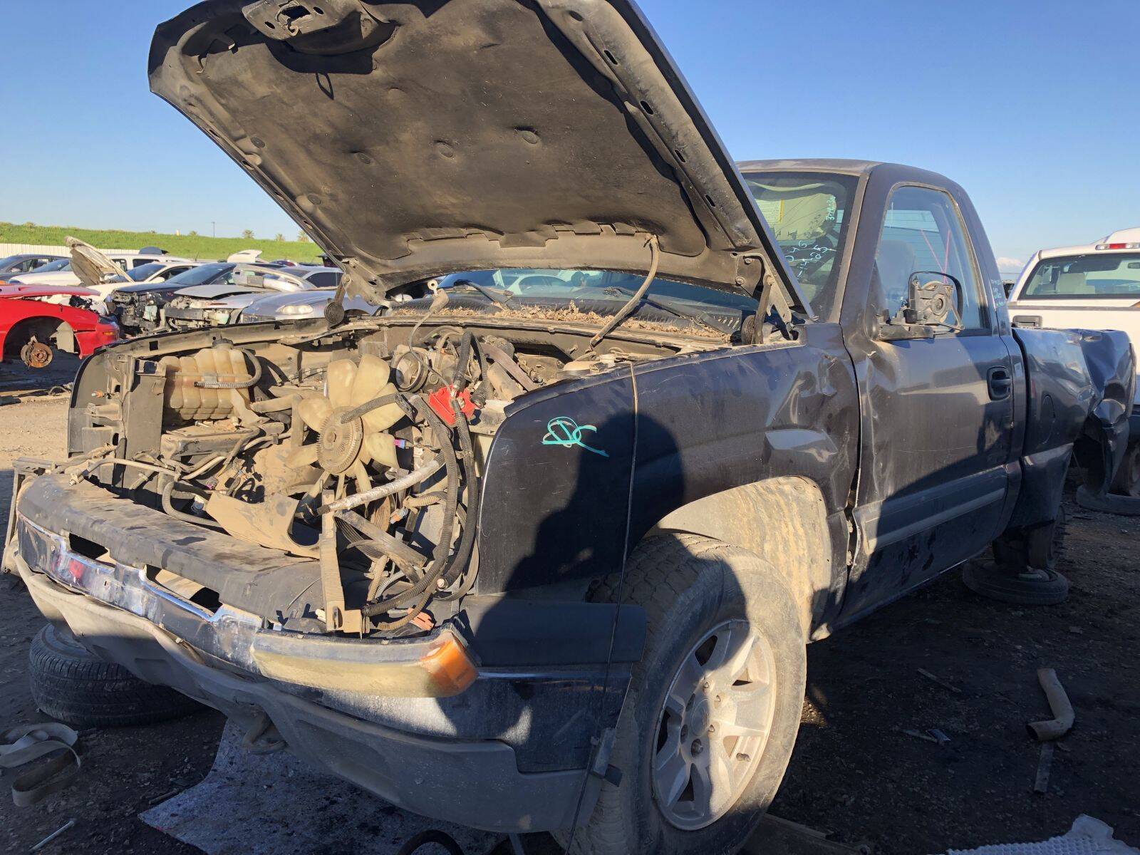 Catalog item FRE101623