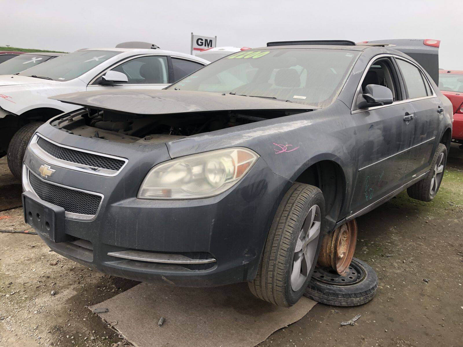 Catalog item FRE103975