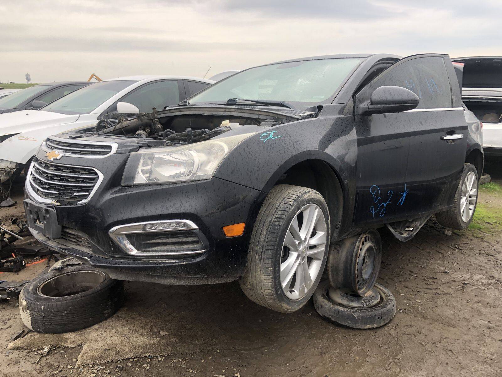 Catalog item FRE106901