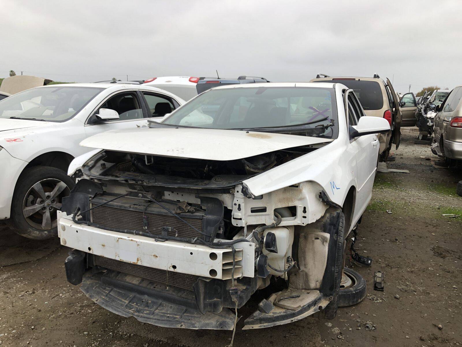 Catalog item FRE107017