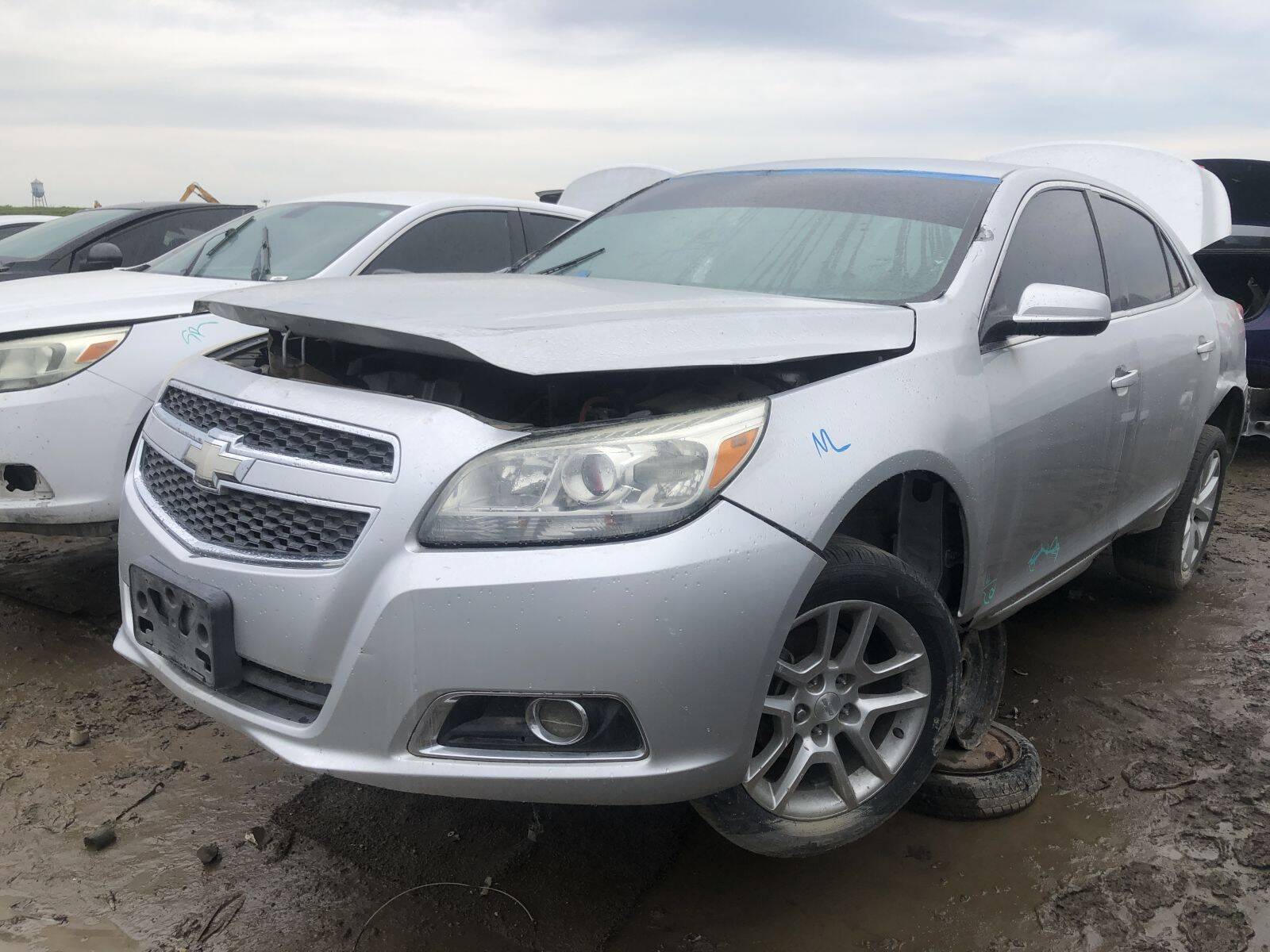 Catalog item FRE107663