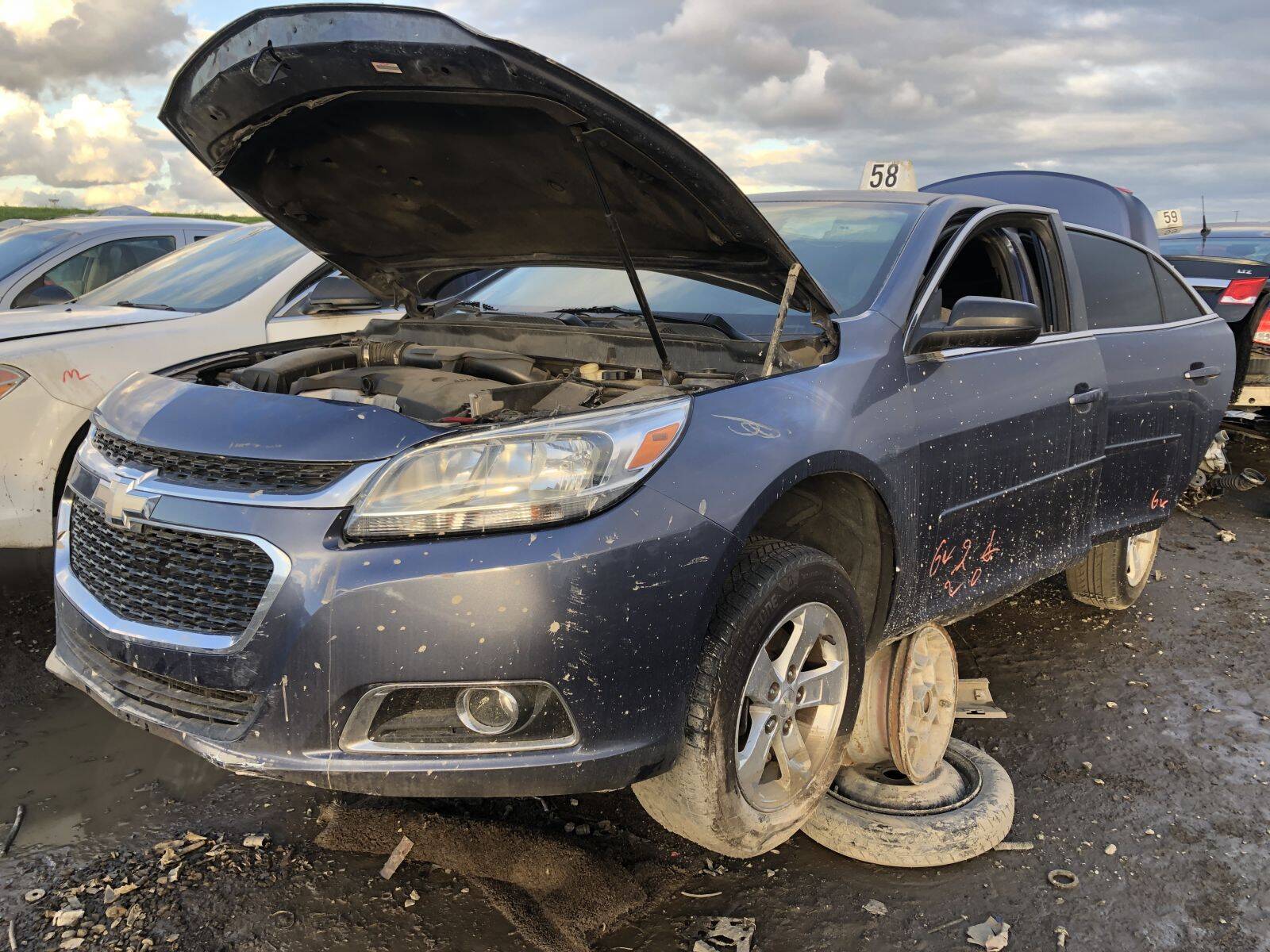 Catalog item FRE107787