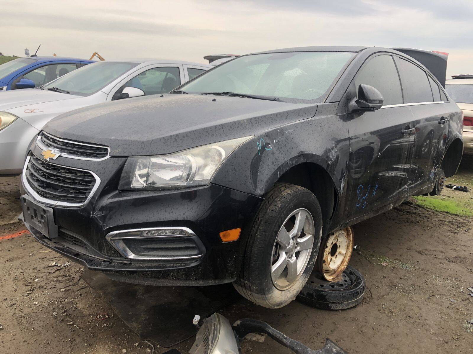 Catalog item FRE107899