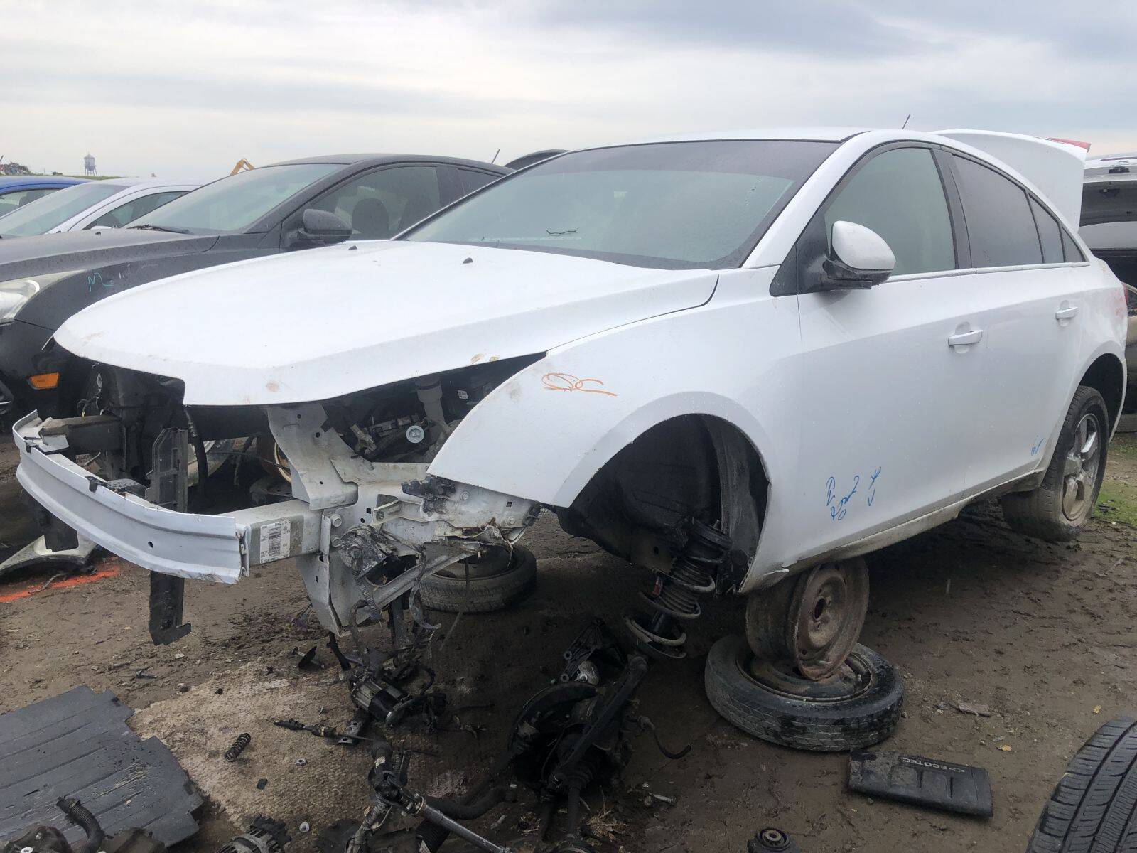 Catalog item FRE107953