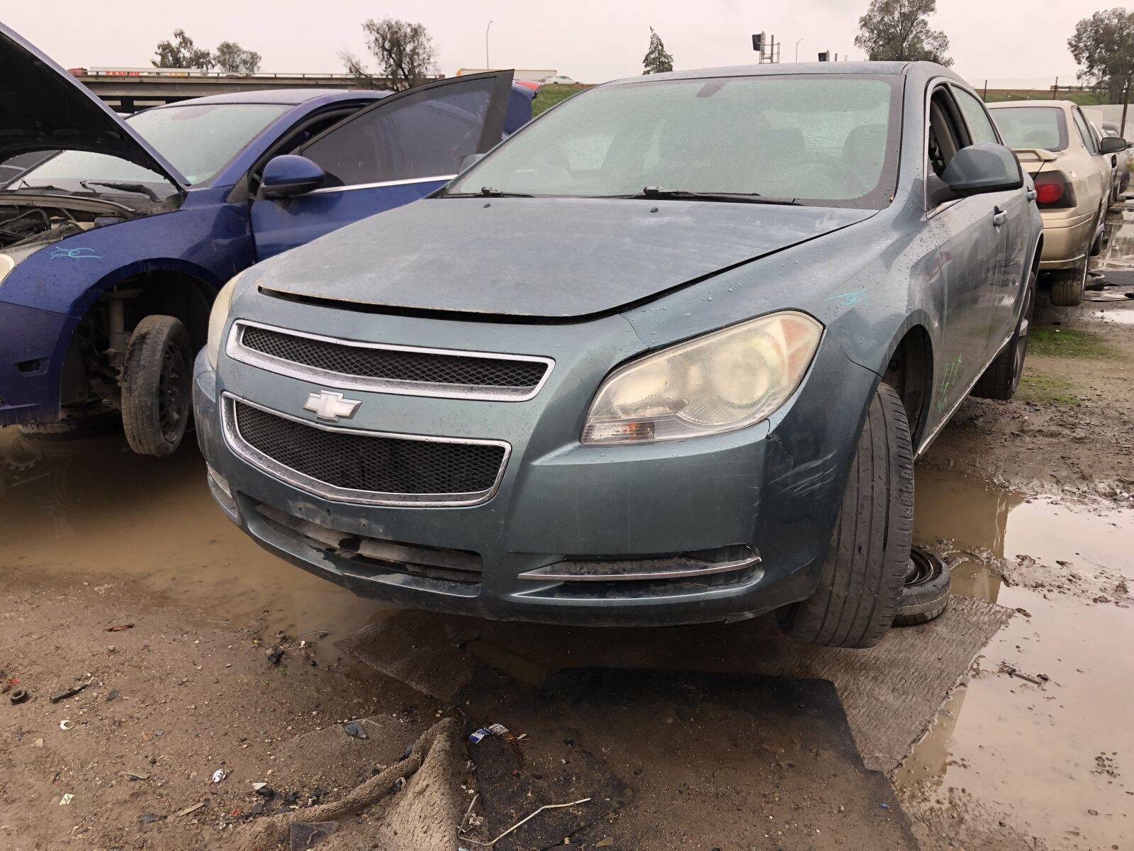 Catalog item FRE108482