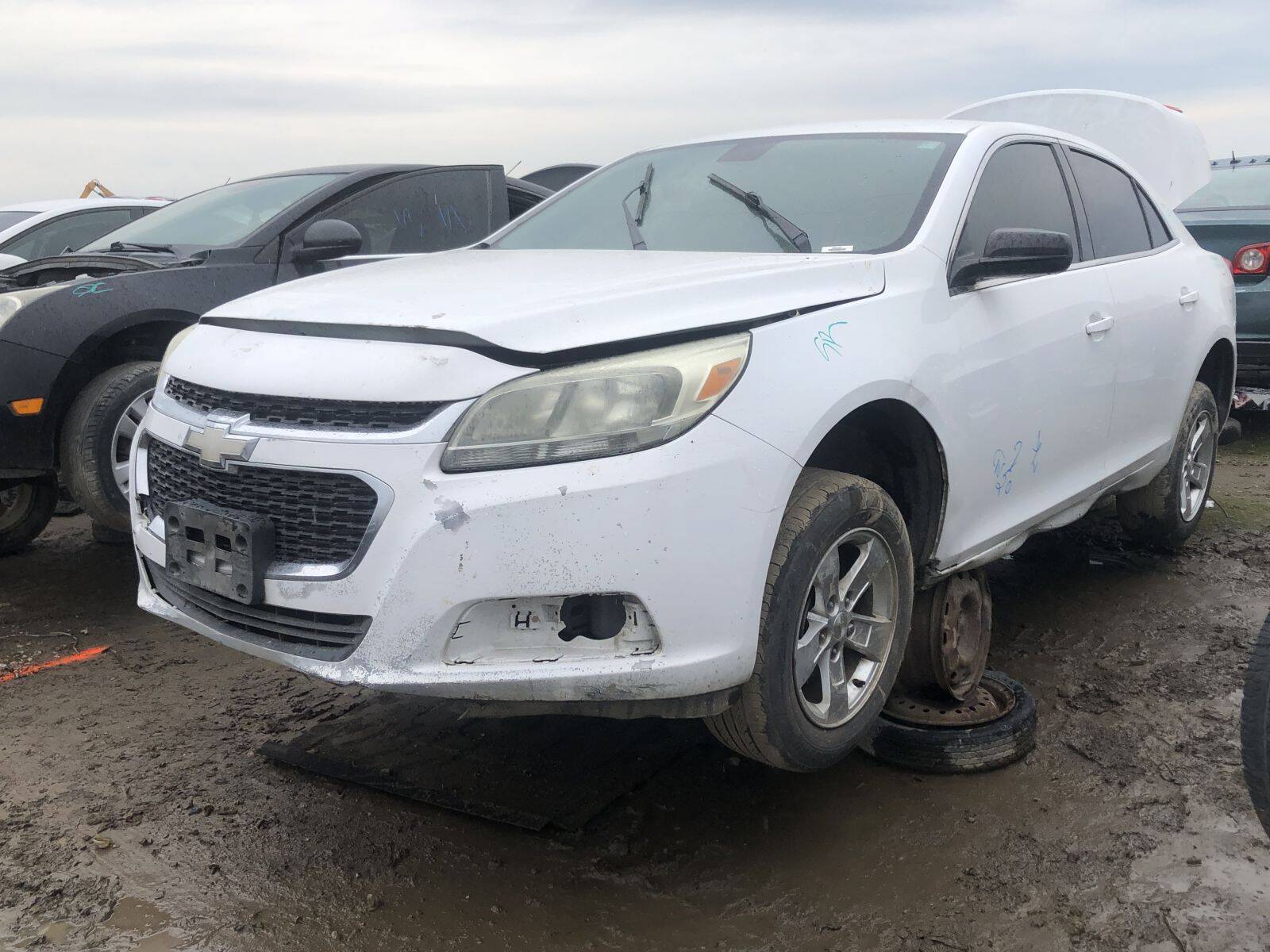 Catalog item FRE108487