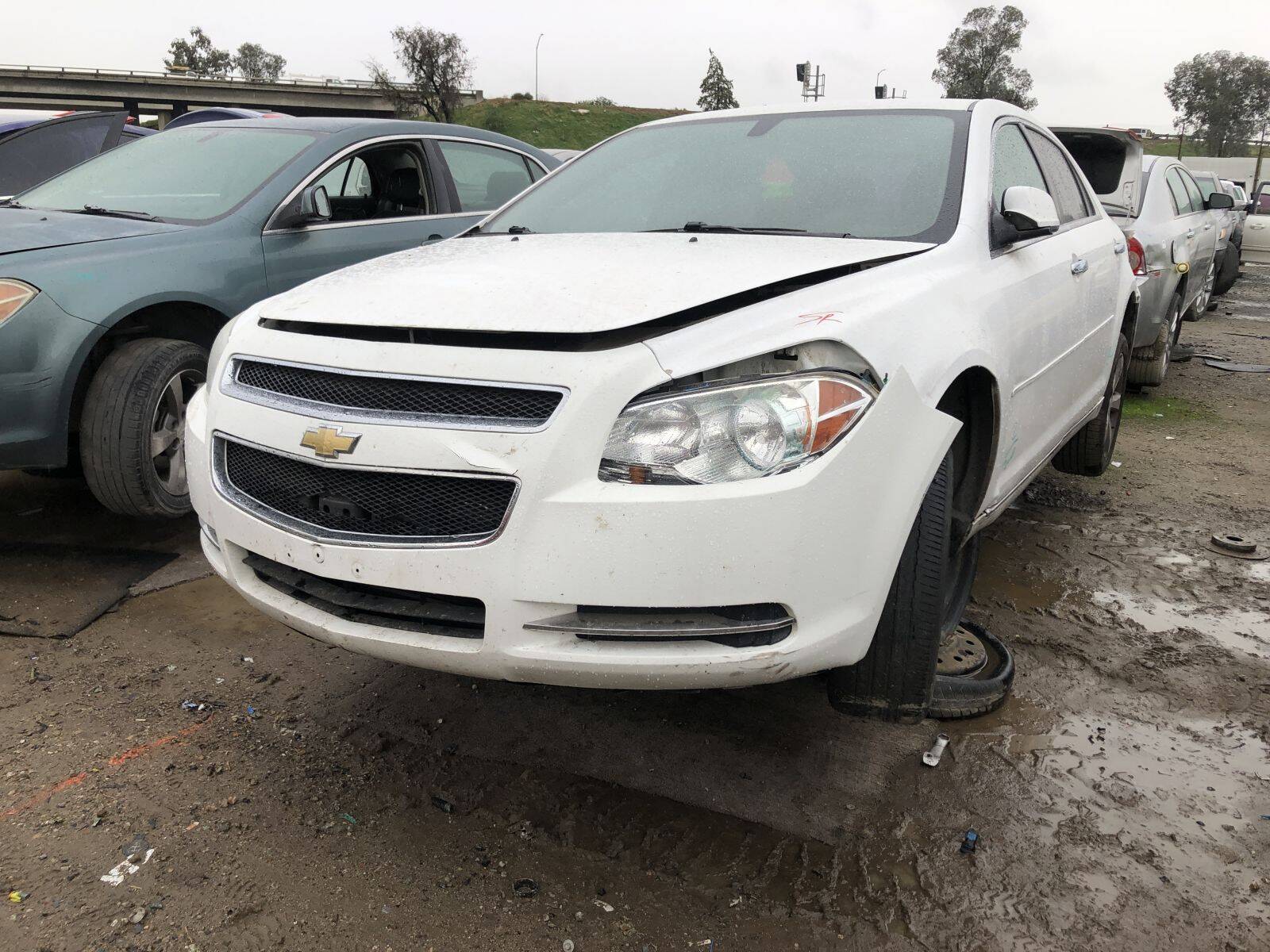 Catalog item FRE108585