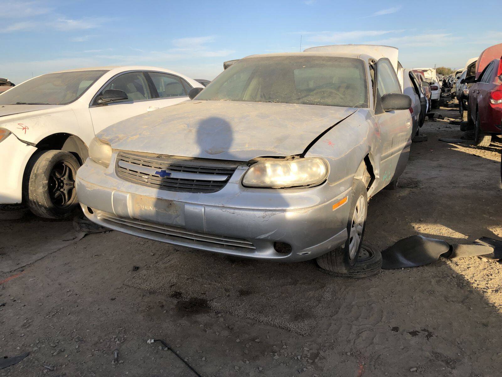 Catalog item FRE108618