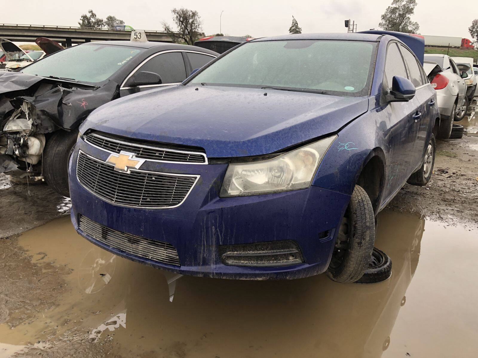 Catalog item FRE108663