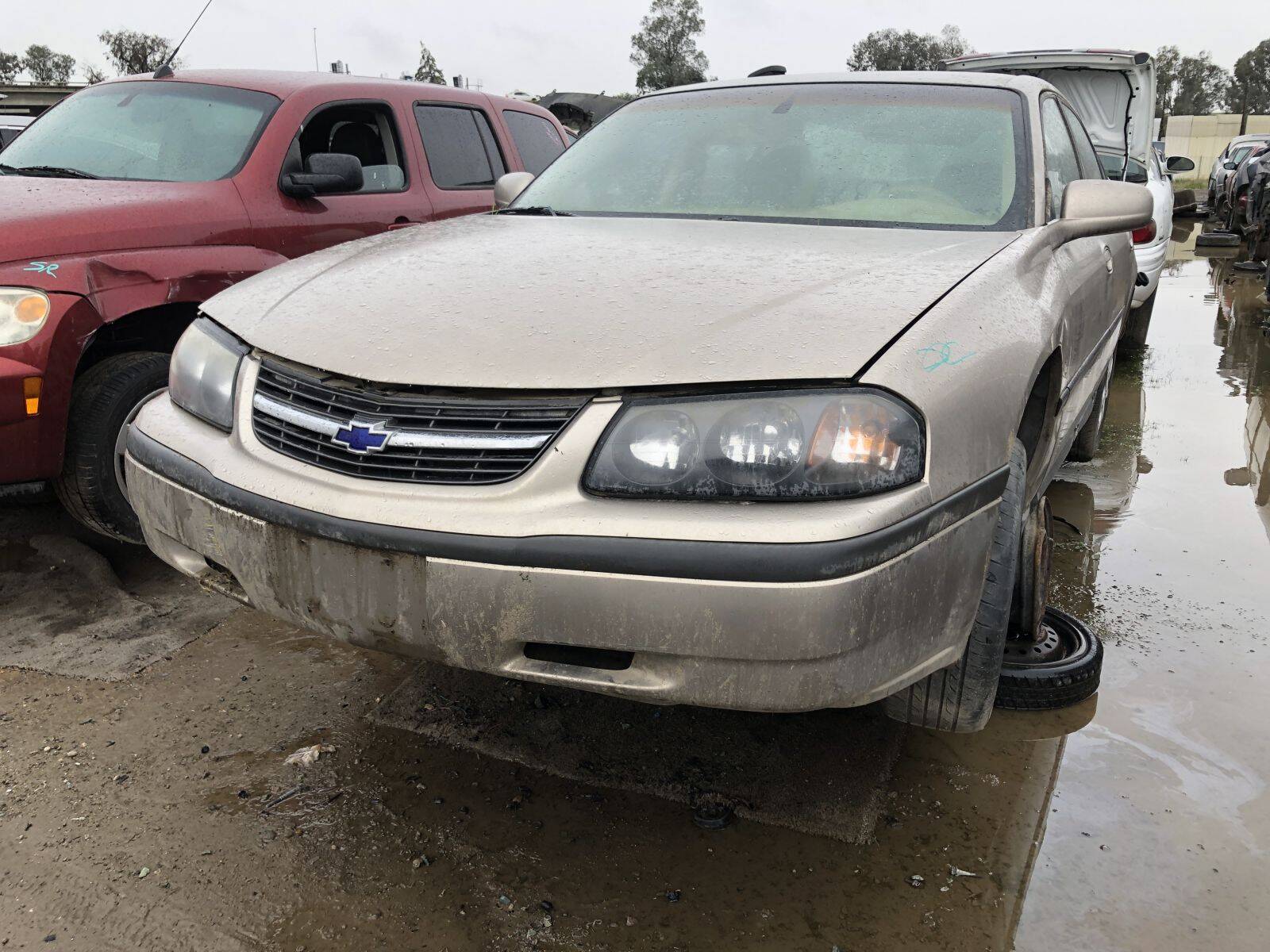 Catalog item FRE108698