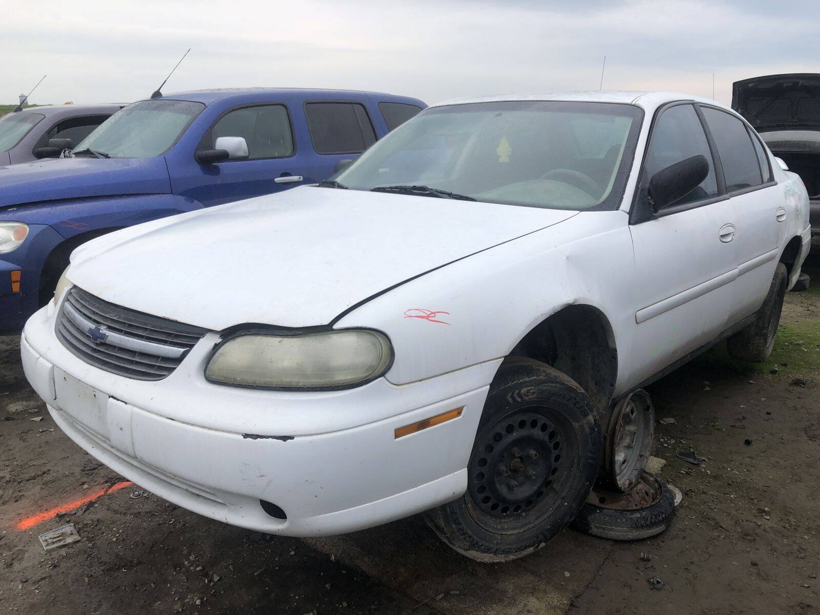 Catalog item FRE108755