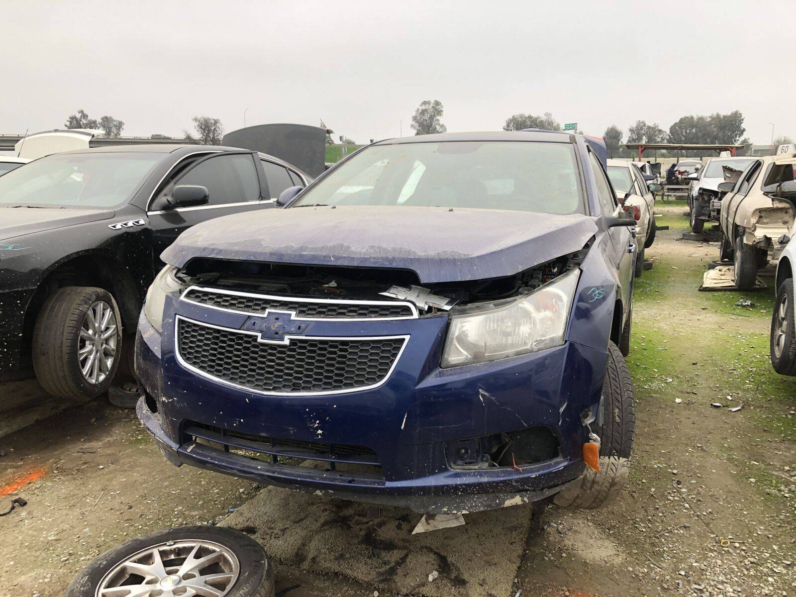 Catalog item FRE108801