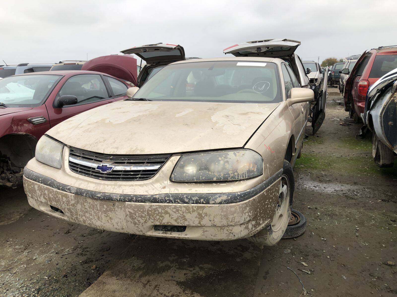 Catalog item FRE108848