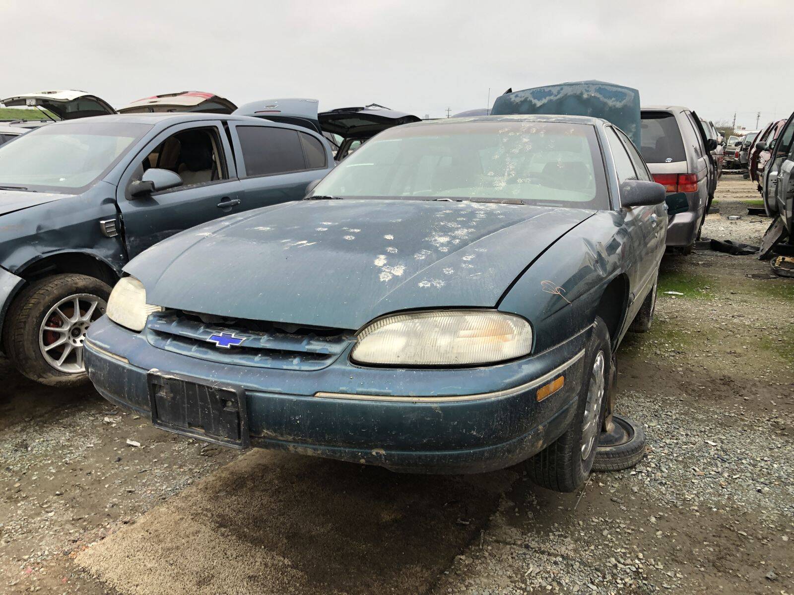 Catalog item FRE108872