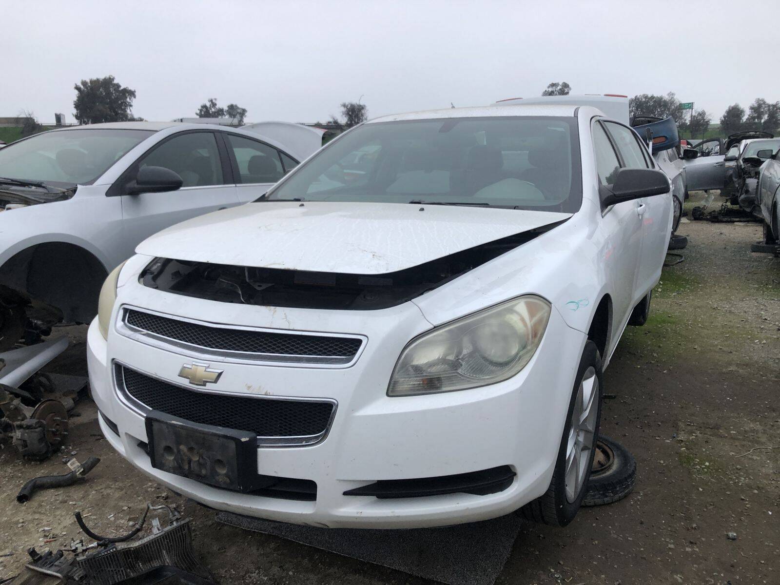 Catalog item FRE108971