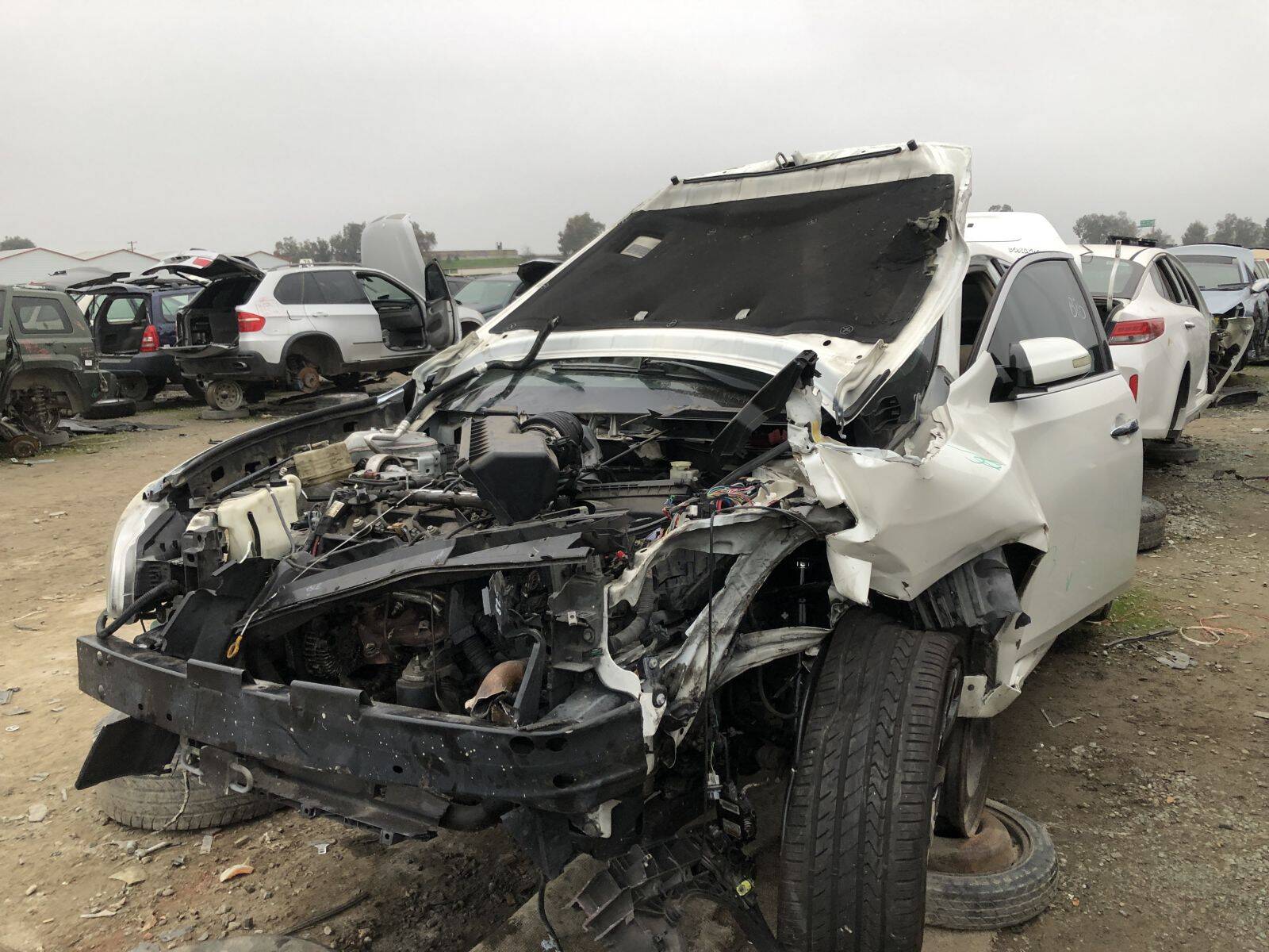 Artículo del catálogo FRE108979