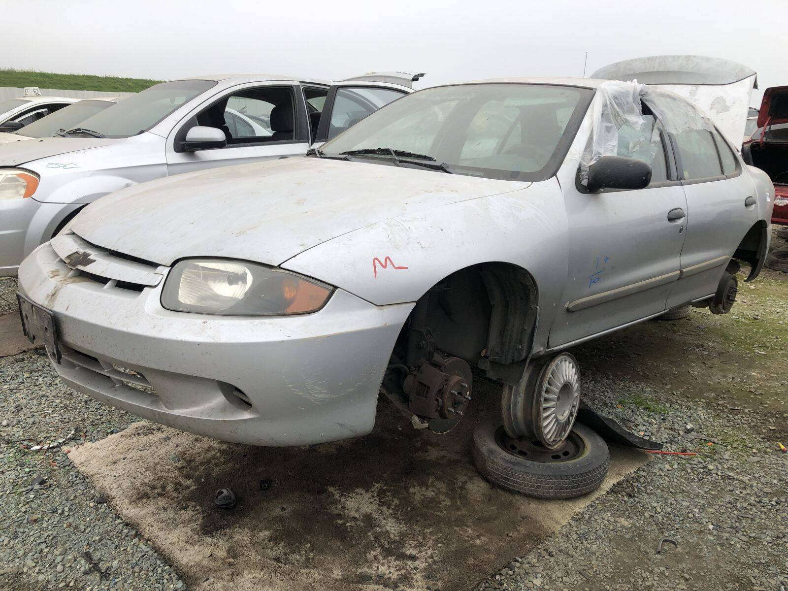 Catalog item FRE109136