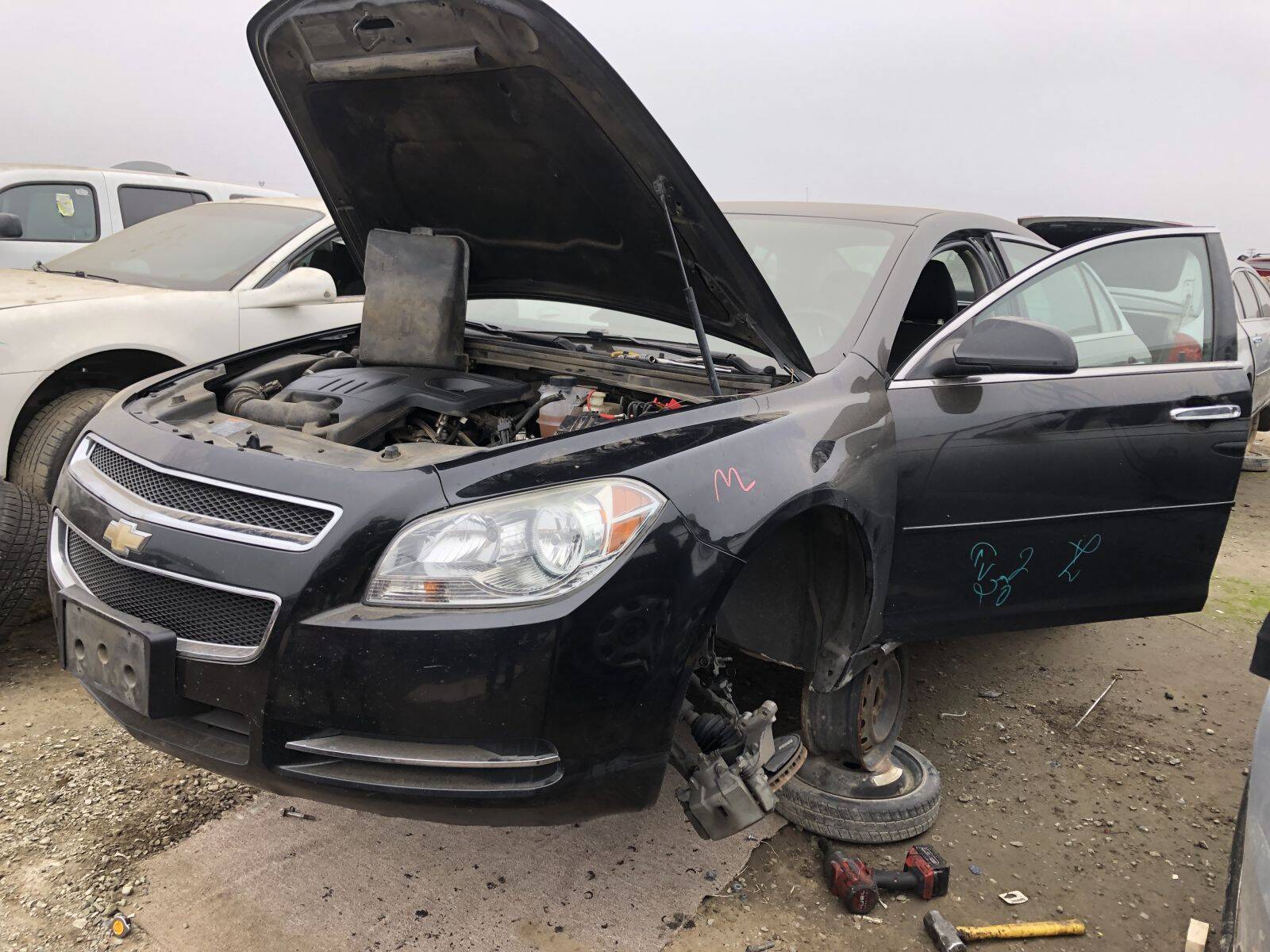 Catalog item FRE109157