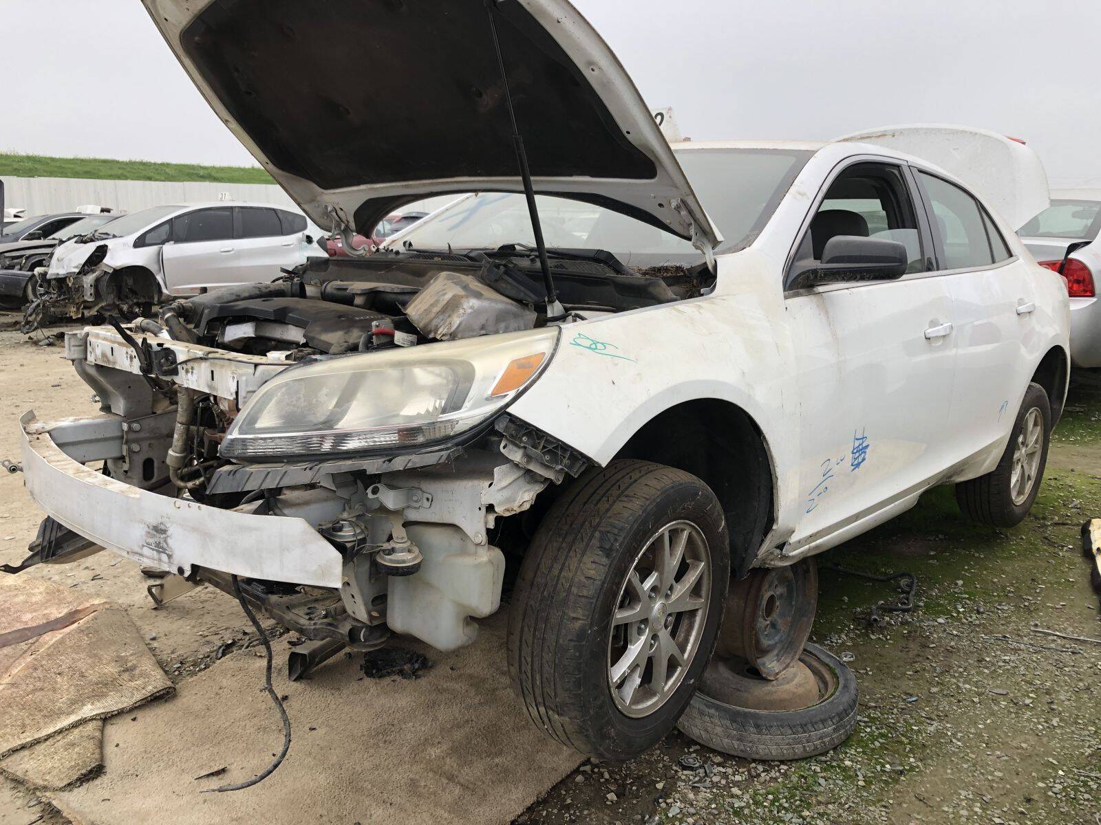 Catalog item FRE109159