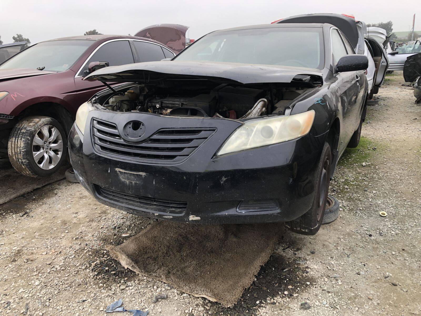 Catalog item FRE109211