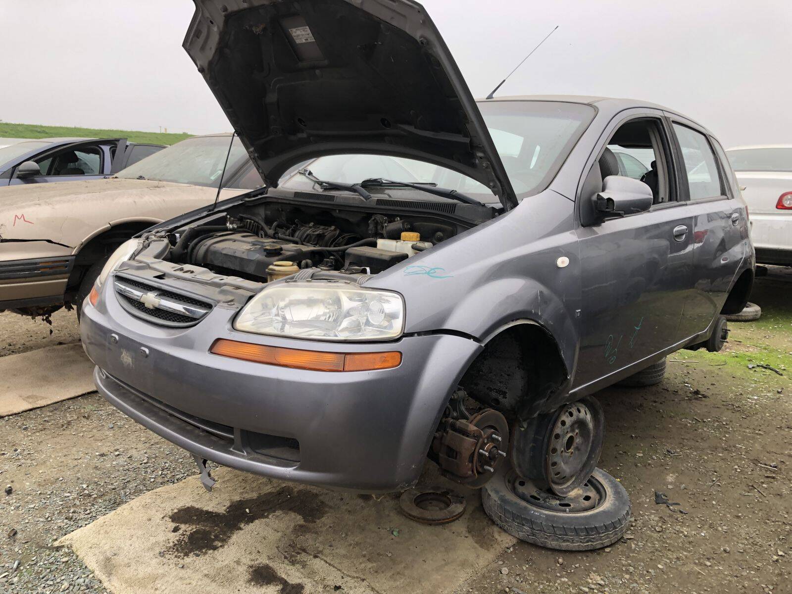 Catalog item FRE109213