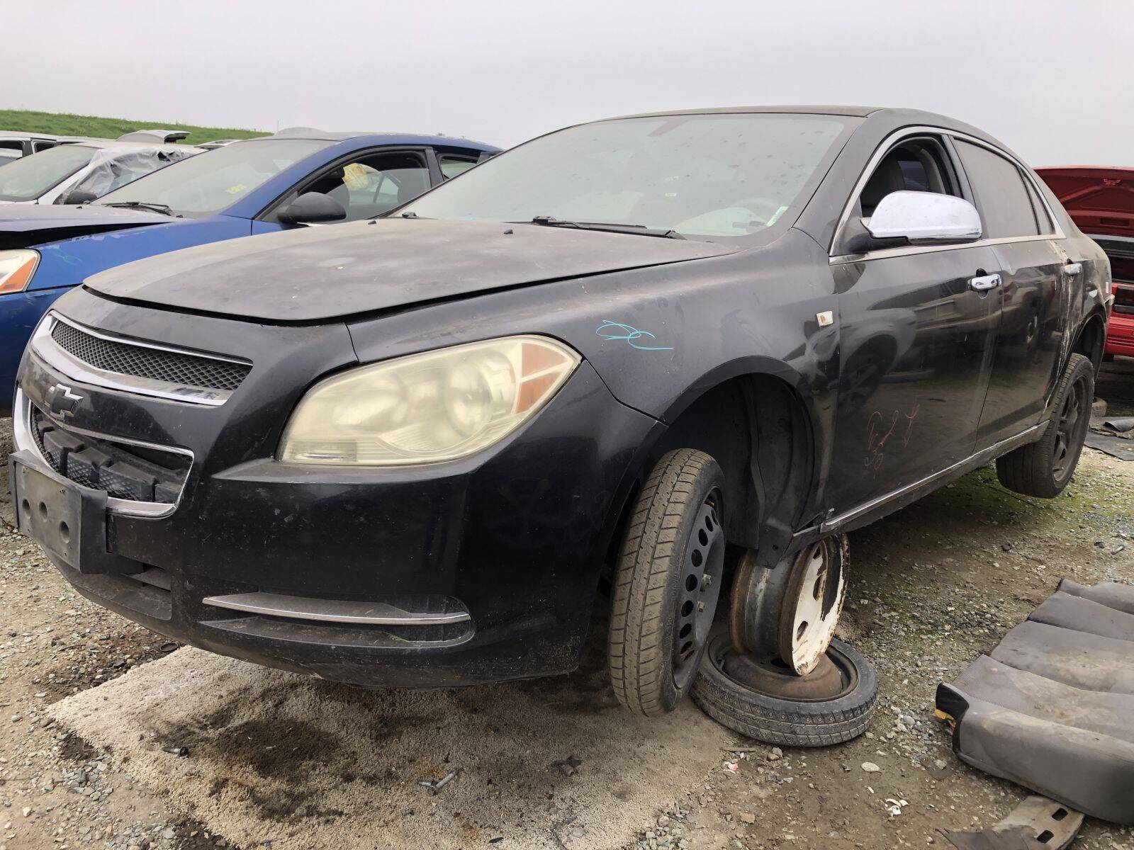 Catalog item FRE109214