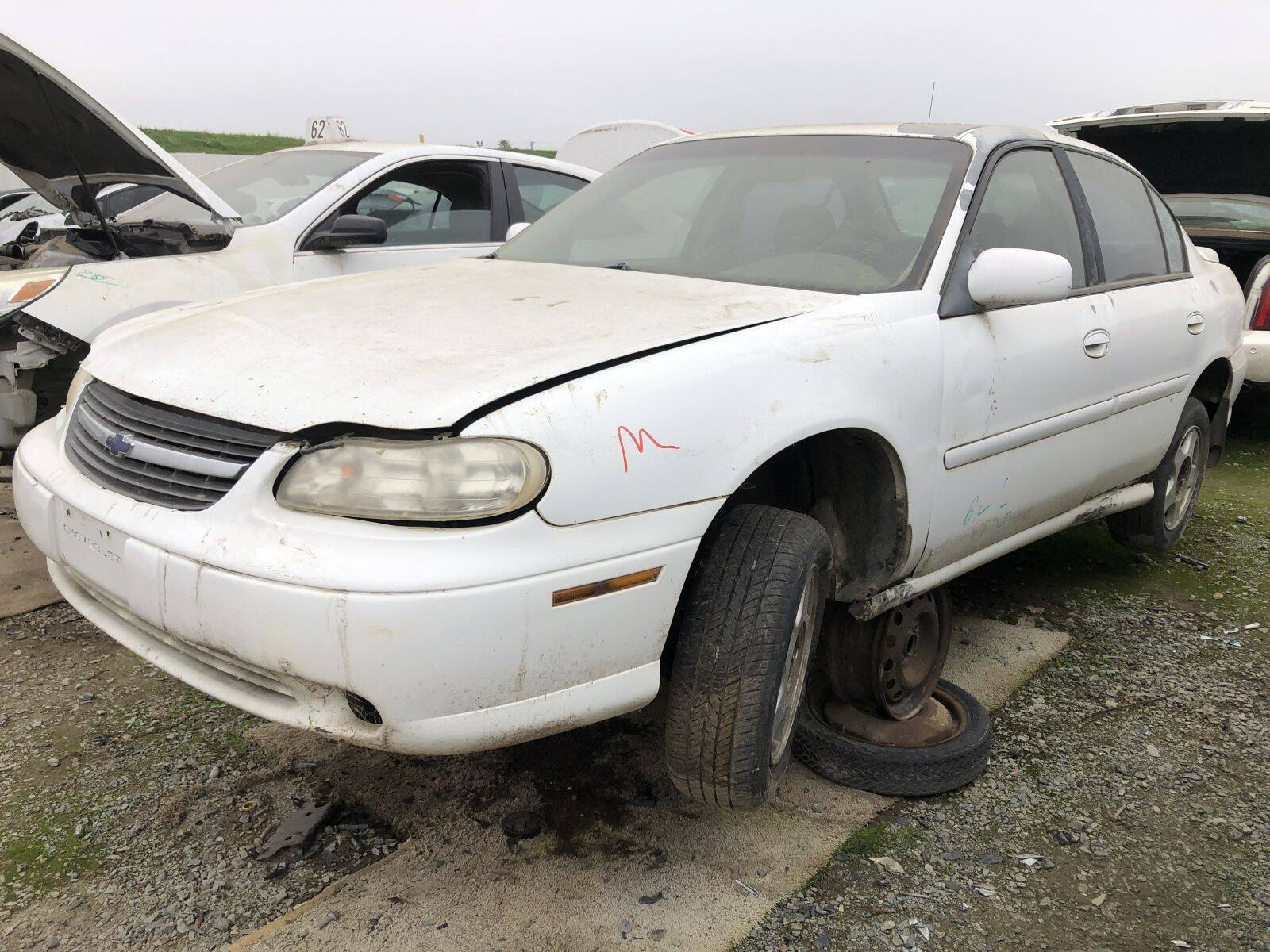 Catalog item FRE109223