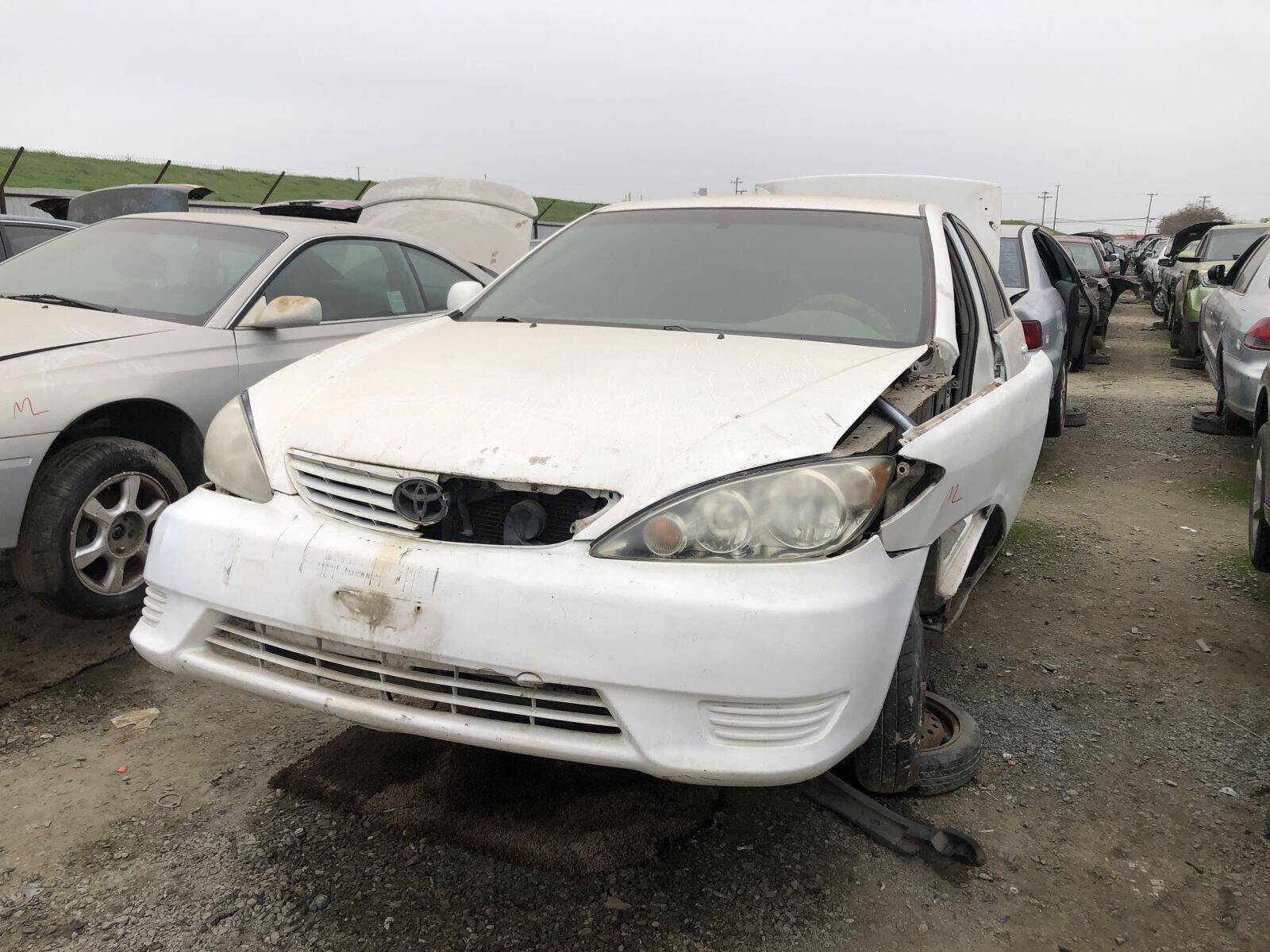 Catalog item FRE109234