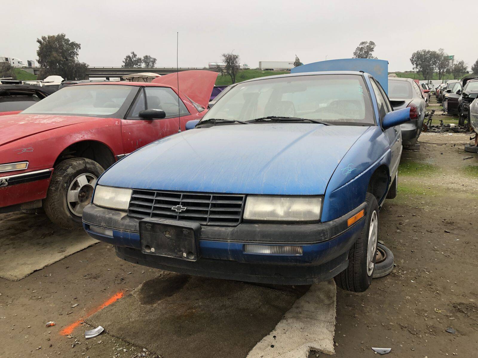 Catalog item FRE109341