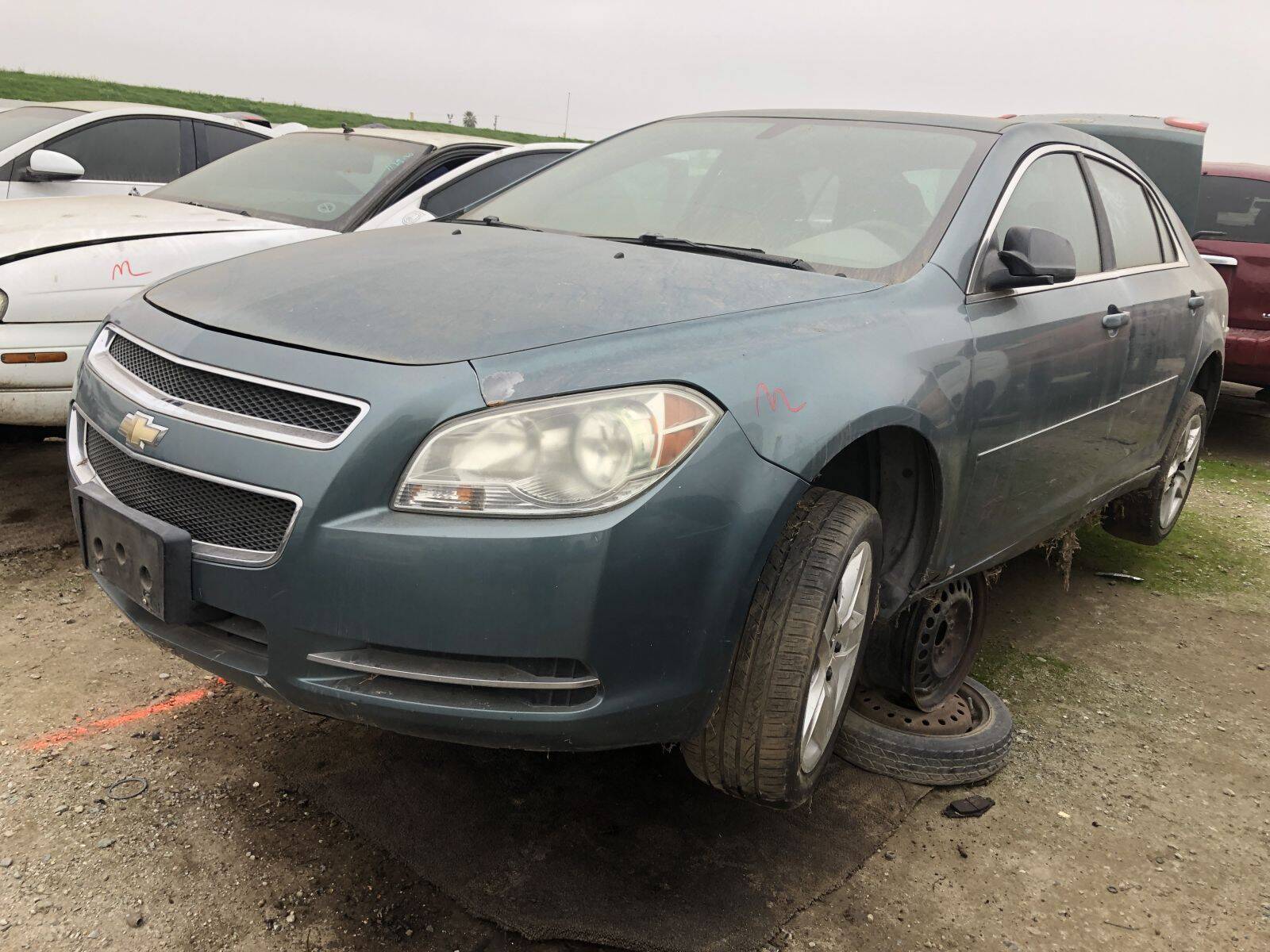 Catalog item FRE109365