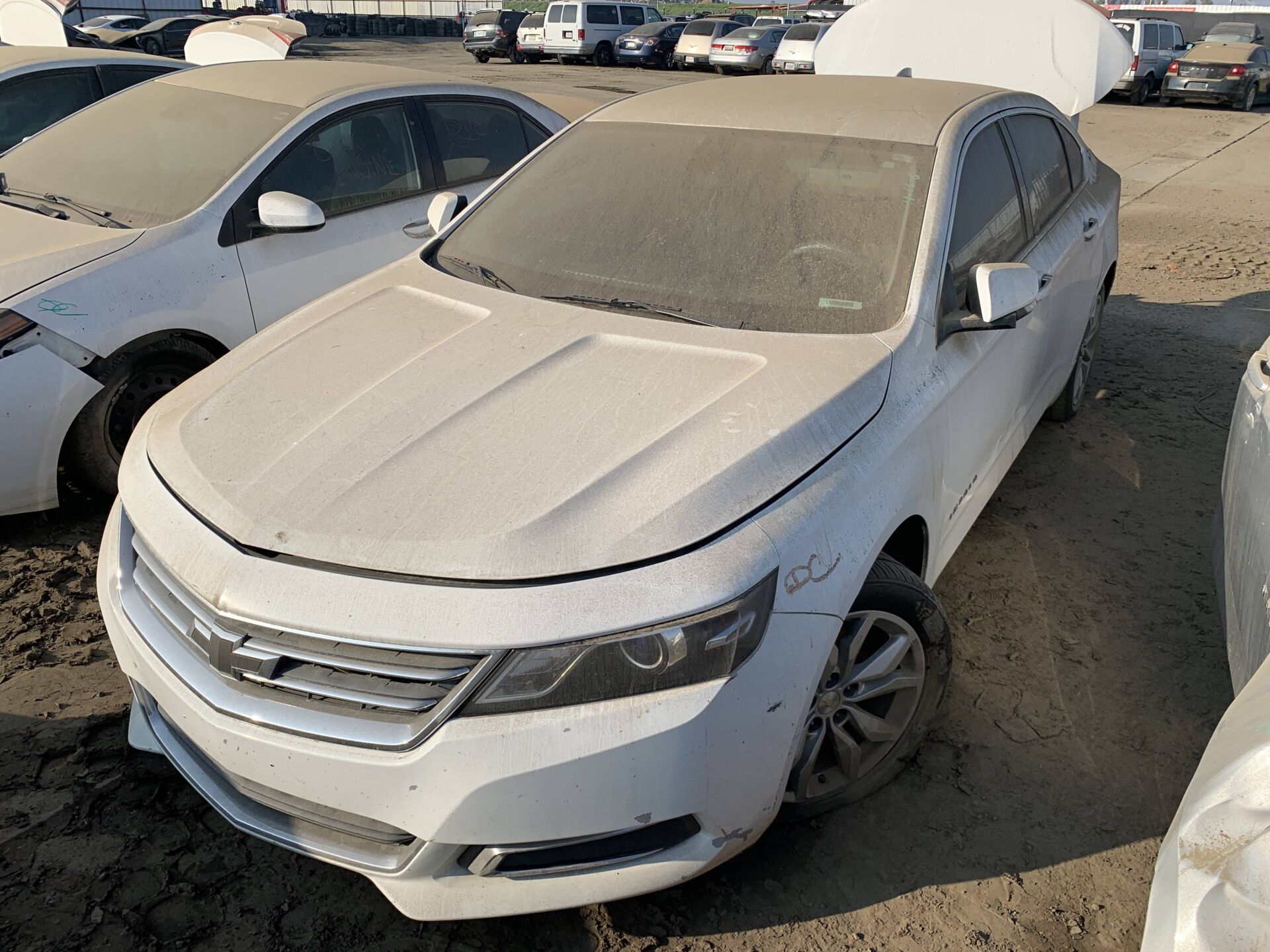 Artículo del catálogo FRE109382