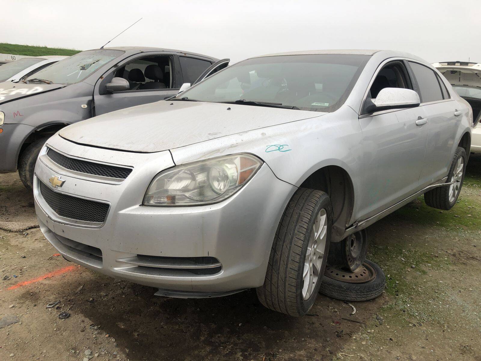 Catalog item FRE109390