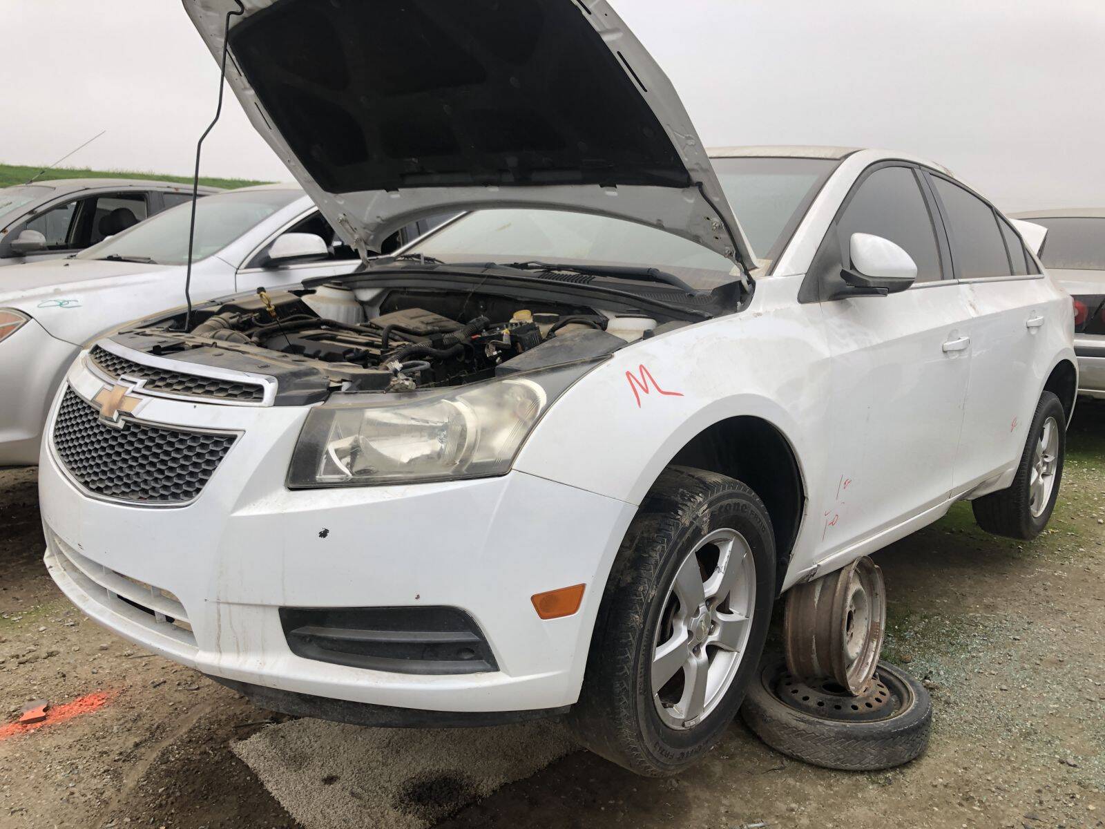 Catalog item FRE109399