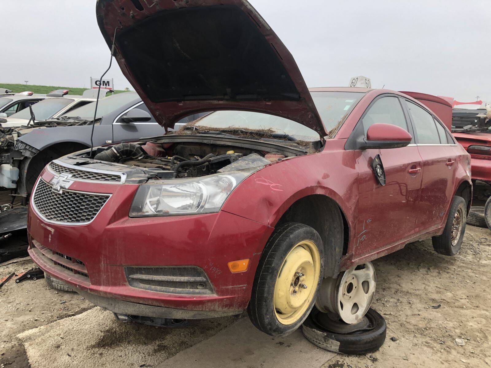 Catalog item FRE109410