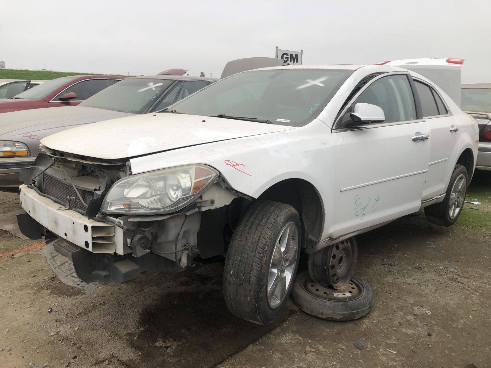 Catalog item FRE109417